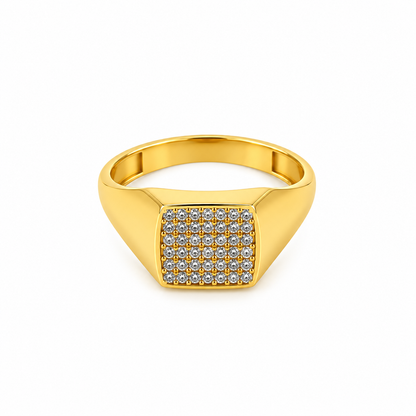 Stone Grid Men’s Ring GMR 57