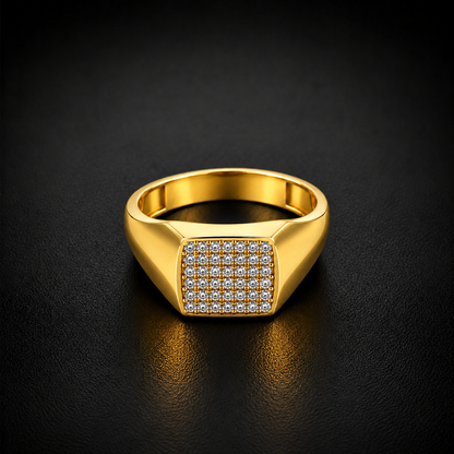 Stone Grid Men’s Ring GMR 57
